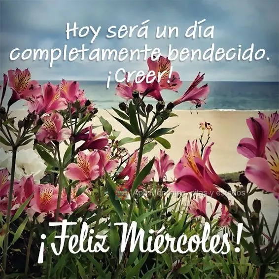 Hoje será um dia inteiramente abençoado. Acredite! Feliz Quarta-feira!