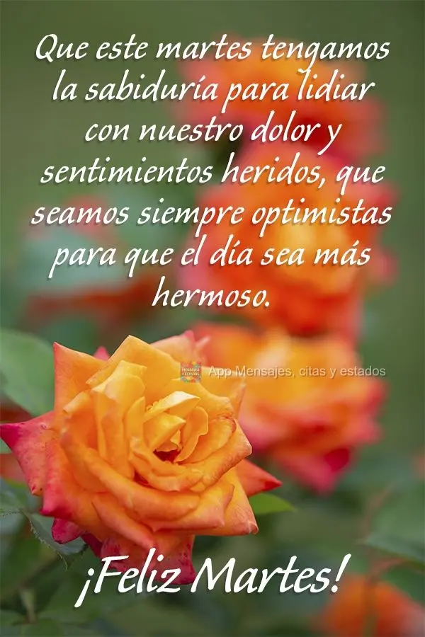 Que este martes tengamos la sabiduría para lidiar con nuestro dolor y sentimientos heridos, que seamos siempre optimistas para que el día sea más herm...