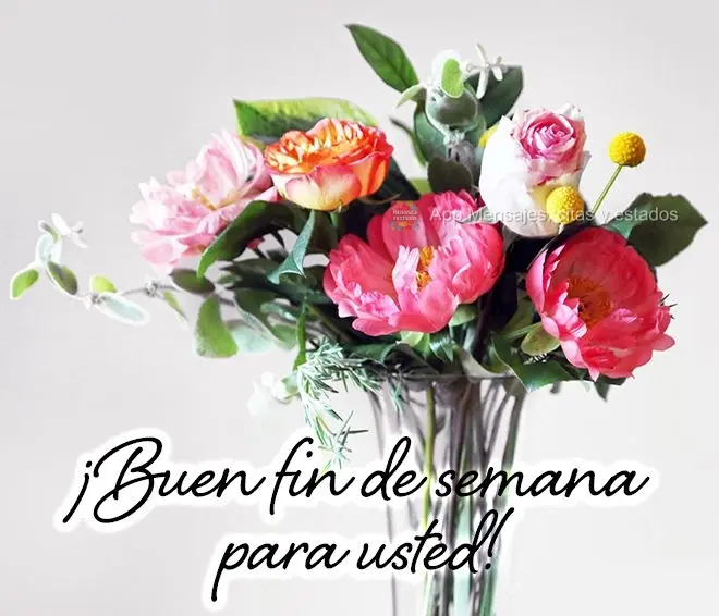 ¡Buen fin de semana para usted!