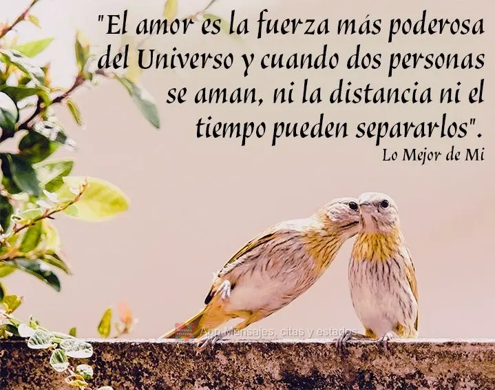 "El amor es la fuerza más poderosa del Universo y cuando dos personas se aman, ni la distancia ni el tiempo pueden separarlos". Lo mejor de mi