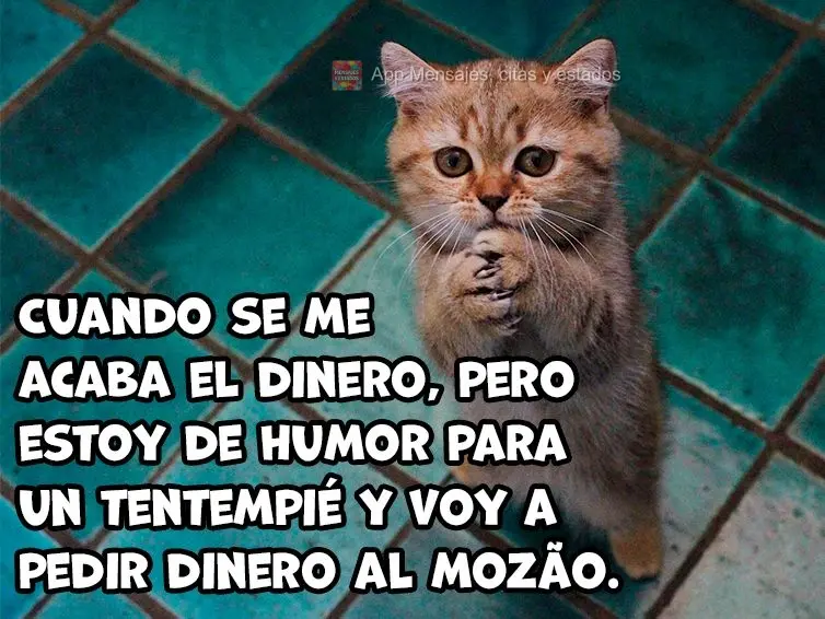 Cuando se me acaba el dinero, pero estoy de humor para un tentempié y voy a pedir dinero al mozão. 