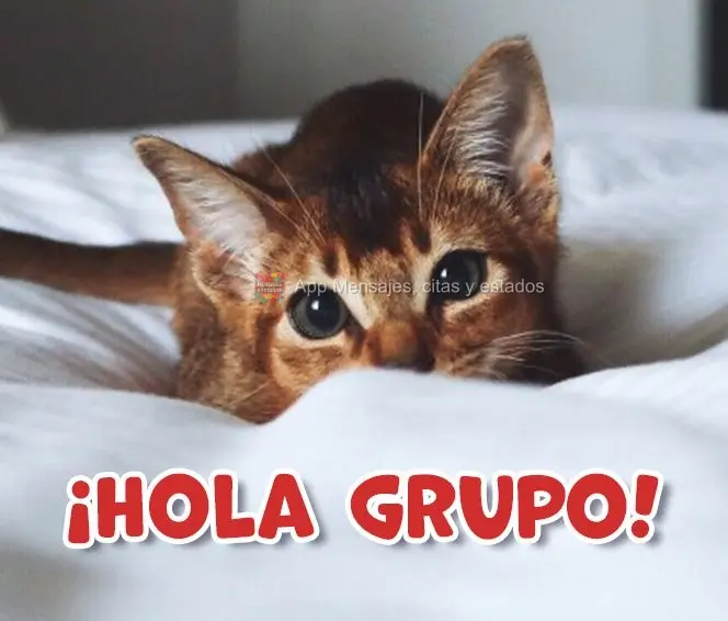 ¡Hola grupo!