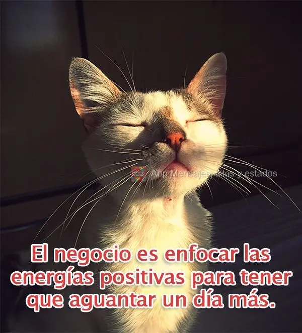 El negocio es enfocar las energías positivas para tener que aguantar un día más.