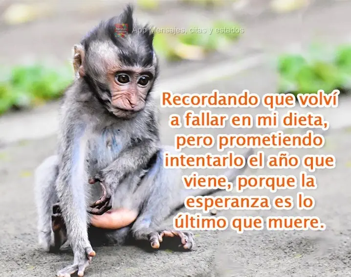 Recordando que volví a fallar en mi dieta, pero prometiendo intentarlo el año que viene, porque la esperanza es lo último que muere.