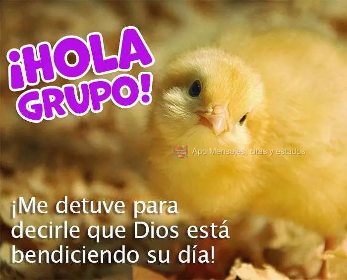 ¡Me detuve para decirle que Dios está bendiciendo su día! ¡Hola grupo!