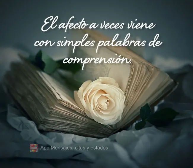 O carinho às vezes vem junto de simples palavras de compreensão.