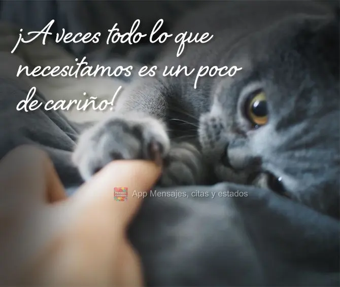 As vezes tudo que a gente precisa é um pouco de carinho!