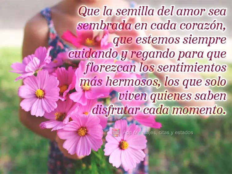 Que a semente do amor seja plantada em cada coração, que possamos estar sempre cuidando e regando para que floresça os mais belos sentimentos, aqueles...