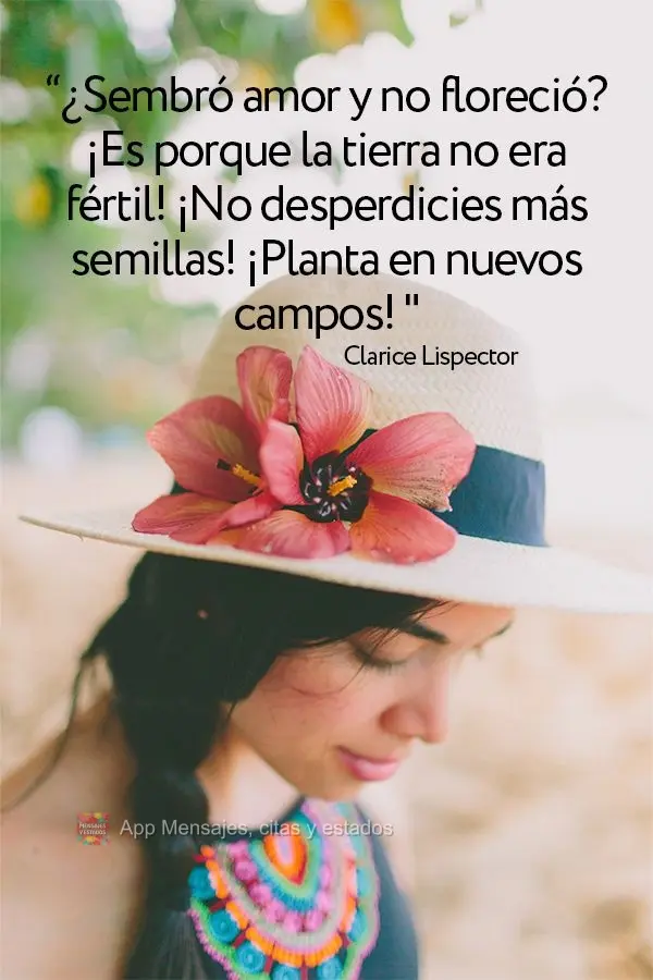 “Plantou amor e não floresceu? É porque a terra não era fértil! Não desperdice mais sementes! Plante em novos campos!” Clarice Lispector