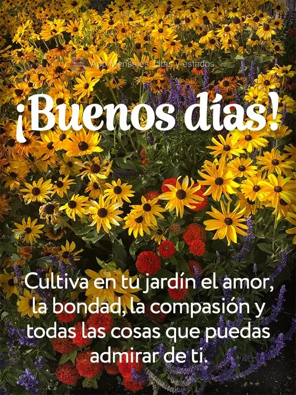 Cultive em seu jardim o amor, a bondade, a compaixão e todas as coisas que você possa admirar em si mesmo. Bom dia!