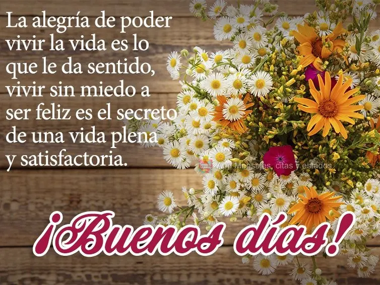 A alegria de poder viver a vida, é o que dá sentido à ela, viver sem medo de ser feliz é o segredo de uma vida plena e satisfatória. Bom dia!