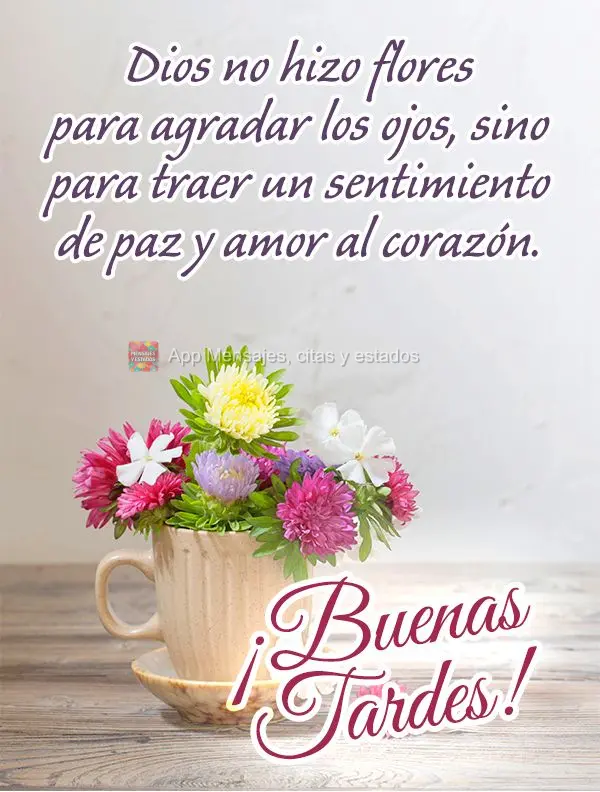 Deus não fez as flores para agradar aos olhos, mas para levar um sentimento de paz e amor para o coração. Boa tarde!