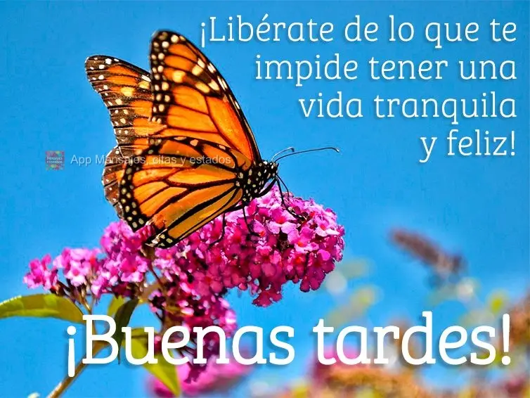 Liberte-se daquilo que te impede de seguir com uma vida tranquila e feliz! Boa tarde!