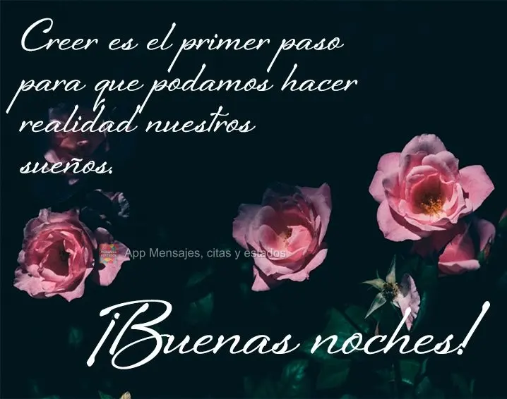 Acreditar é o primeiro passo para que possamos realizar nossos sonhos. Boa noite!