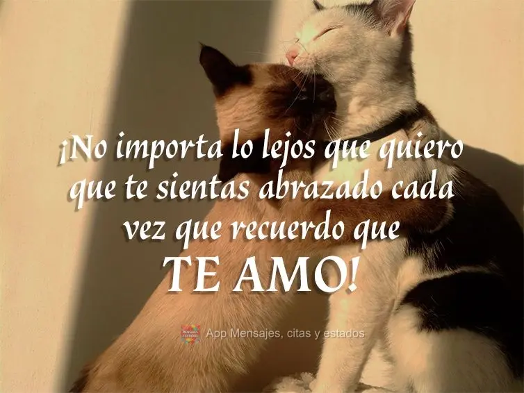 Não importa a distância, quero que se sinta abraçada sempre que lembrar que amo você!