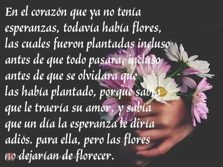 En el corazón que ya no tenía esperanzas, todavía había flores, las cuales fueron plantadas incluso antes de que todo pasara, incluso antes de que se...