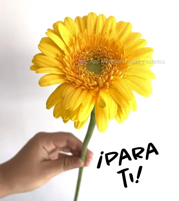 ¡Para ti!