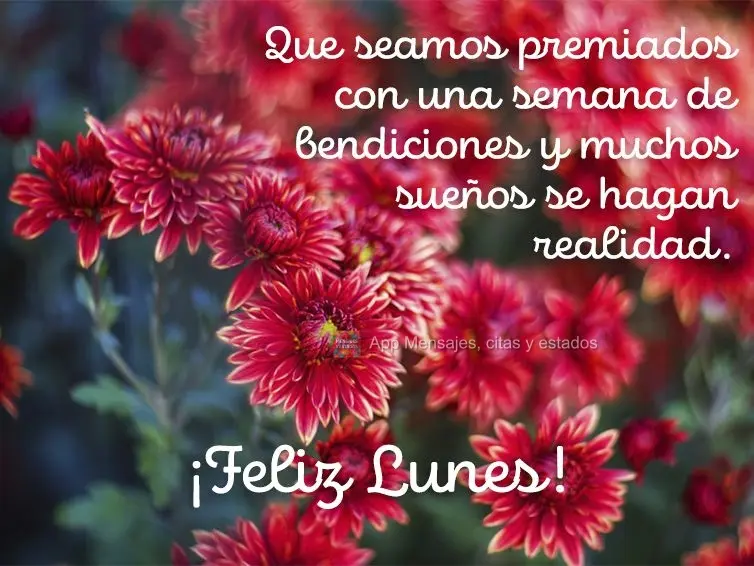 Que seamos premiados con una semana de bendiciones y muchos sueños se hagan realidad. ¡Feliz lunes!