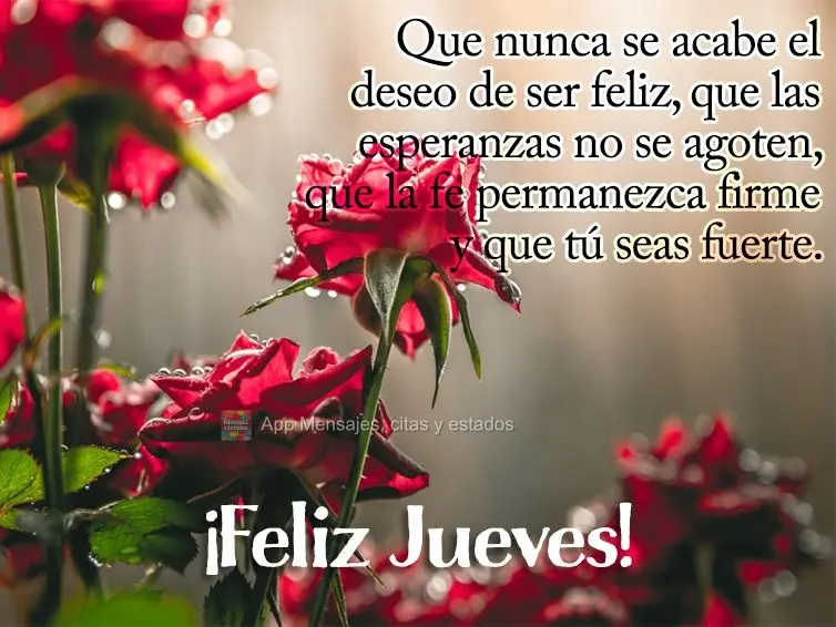 Que nunca se acabe el deseo de ser feliz, que las esperanzas no se agoten, que la fe permanezca firme y que tú seas fuerte. ¡Feliz jueves!