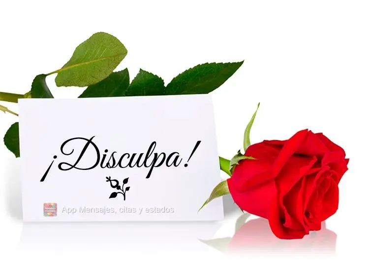 ¡Disculpa!