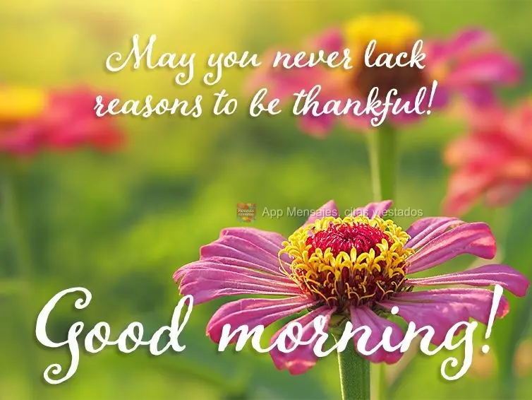 Que nunca lhe falte motivos para agradecer! Bom dia!