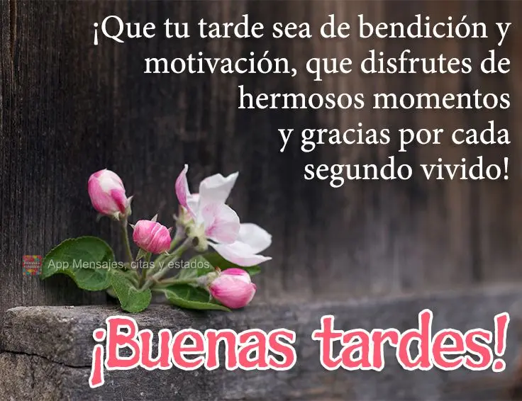 ¡Que tu tarde sea de bendición y motivación, que disfrutes de hermosos momentos y gracias por cada segundo vivido! ¡Buenas tardes!