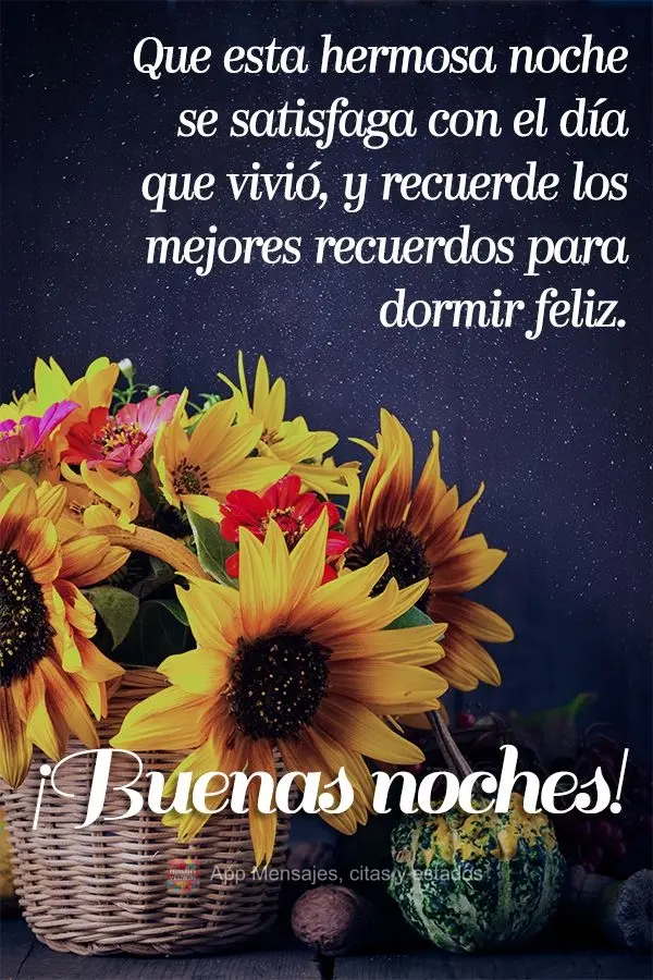 Que esta hermosa noche se satisfaga con el día que vivió, y recuerde los mejores recuerdos para dormir feliz. ¡Buenas noches!