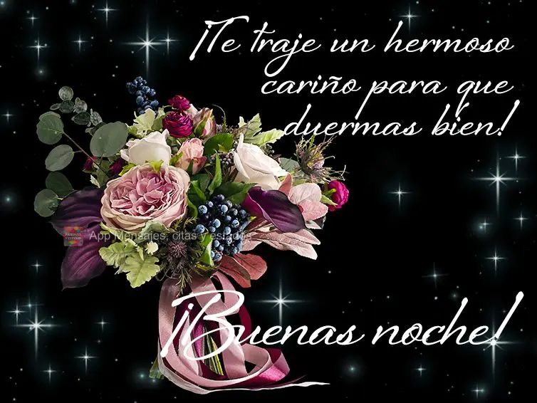 ¡Te traje un hermoso cariño para que duermas bien! ¡Buenas noche!