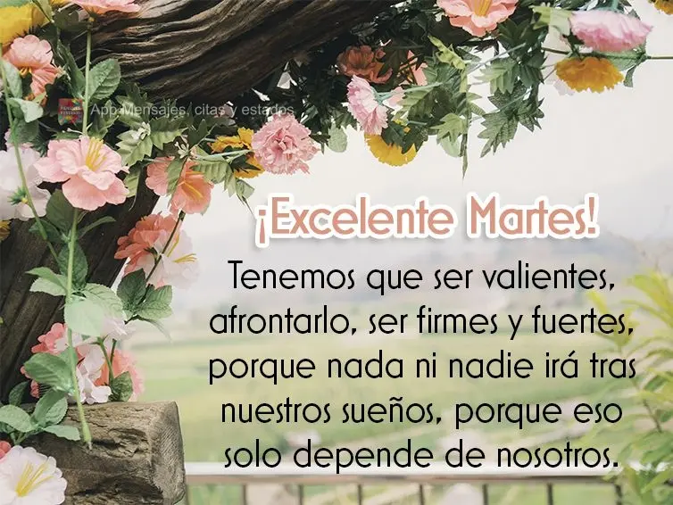 Tenemos que ser valientes, afrontarlo, ser firmes y fuertes, porque nada ni nadie irá tras nuestros sueños, porque eso solo depende de nosotros. ¡Exce...