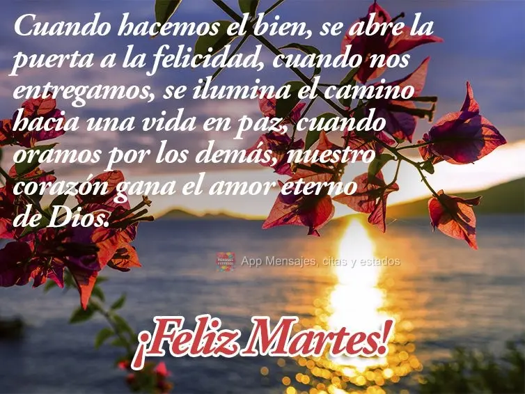 Cuando hacemos el bien, se abre la puerta a la felicidad, cuando nos entregamos, se ilumina el camino hacia una vida en paz, cuando oramos por los demás...