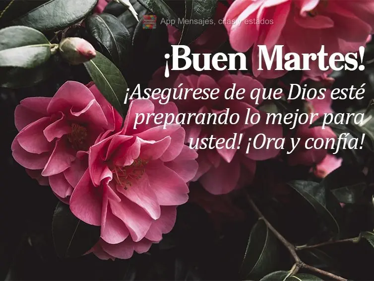 ¡Asegúrese de que Dios esté preparando lo mejor para usted! ¡Ora y confía! ¡Buen martes!