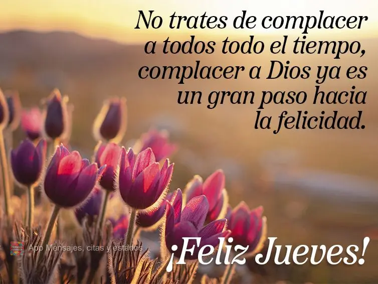 No trates de complacer a todos todo el tiempo, complacer a Dios ya es un gran paso hacia la felicidad. ¡Feliz jueves!