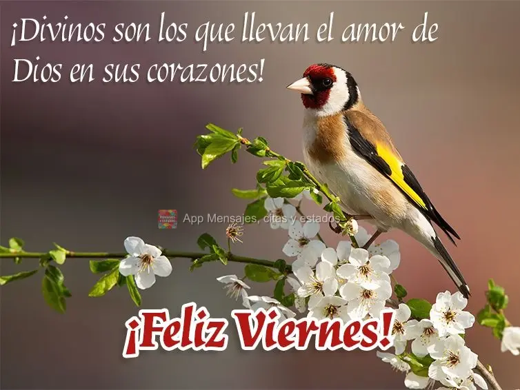 Divino é aqueles que carregam consigo o amor de Deus em seu coração!  Feliz Sexta-feira!