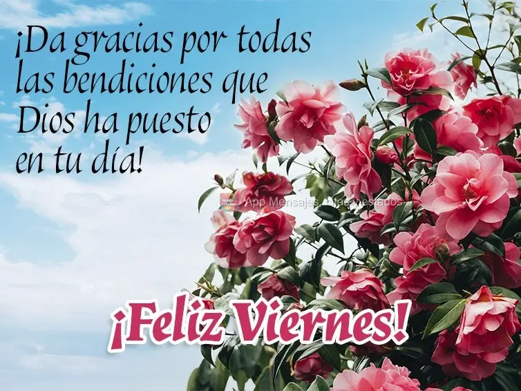 ¡Da gracias por todas las bendiciones que Dios ha puesto en tu día! ¡Feliz viernes!