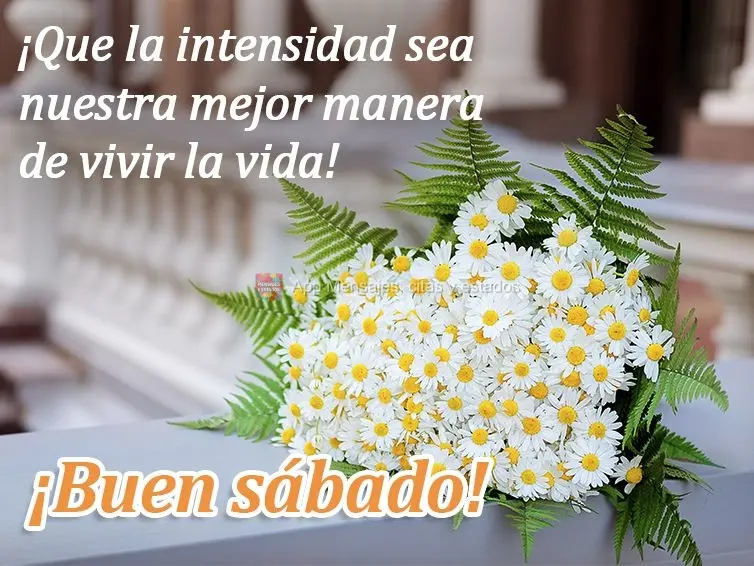 ¡Que la intensidad sea nuestra mejor manera de vivir la vida! ¡Buen sábado!