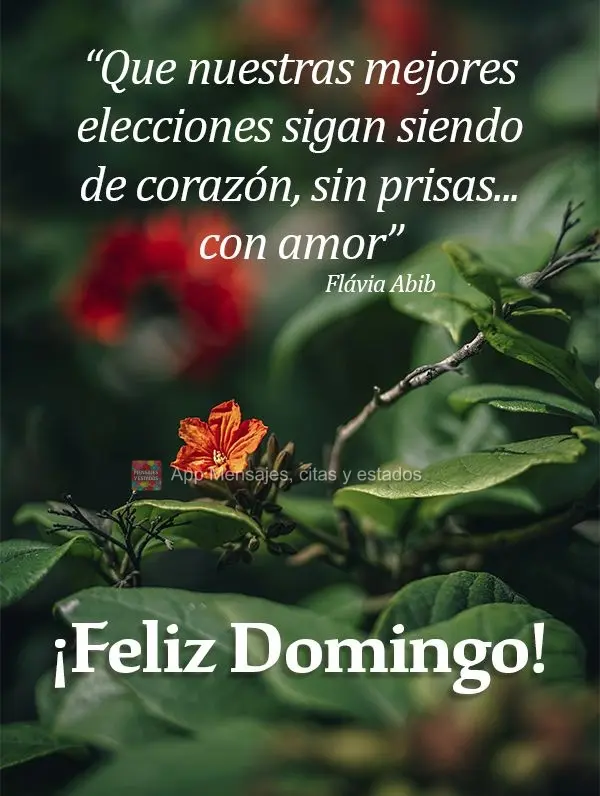 "Que nuestras mejores elecciones sigan siendo de corazón, sin prisas ... con amor" ¡Feliz Domingo! Flávia Abib