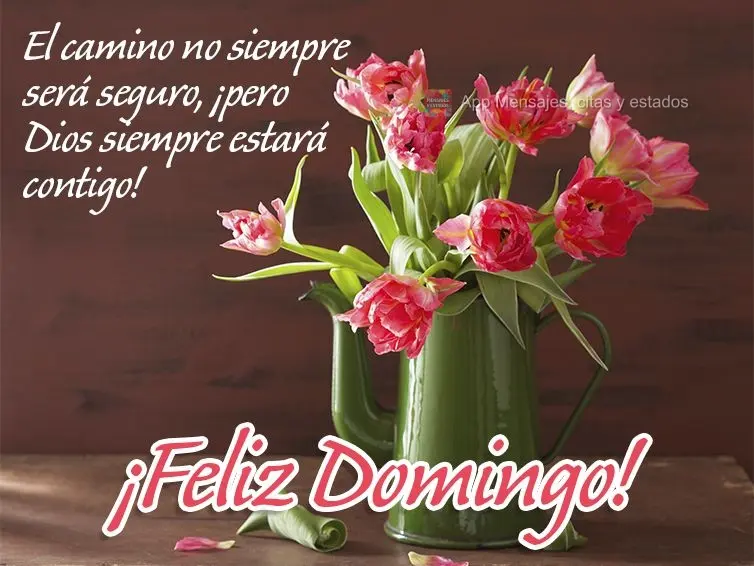 El camino no siempre será seguro, ¡pero Dios siempre estará contigo! ¡Feliz Domingo!