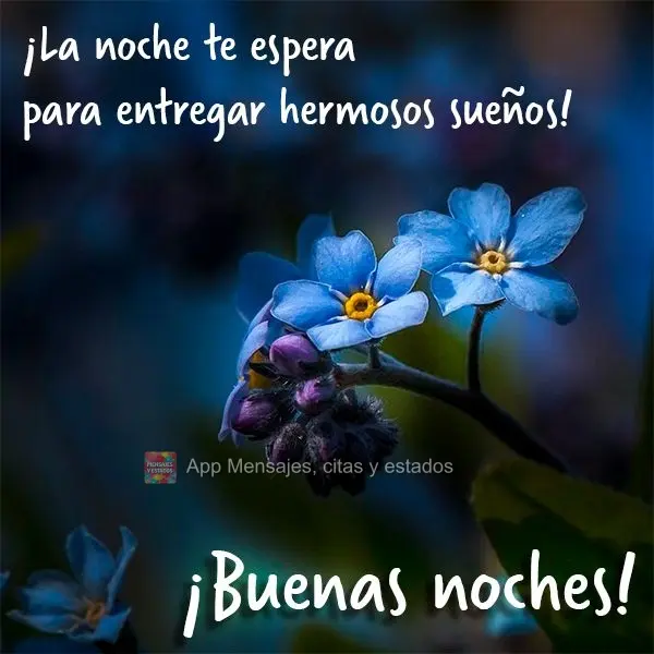 A noite te espera para lhe entregar lindos sonhos!  Boa noite!