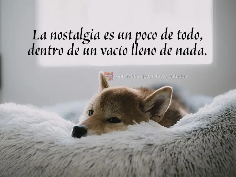 La nostalgia es un poco de todo, dentro de un vacío lleno de nada.