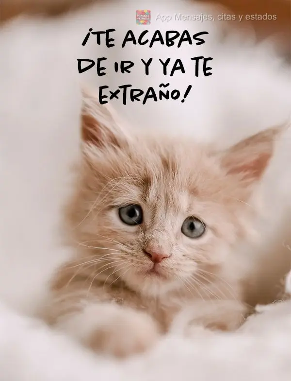 ¡Te acabas de ir y ya te extraño!