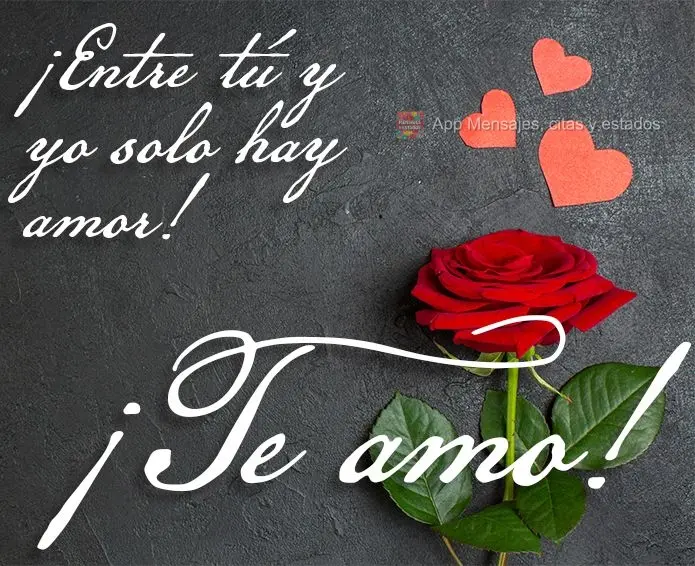 ¡Entre tú y yo solo hay amor! ¡Te amo!