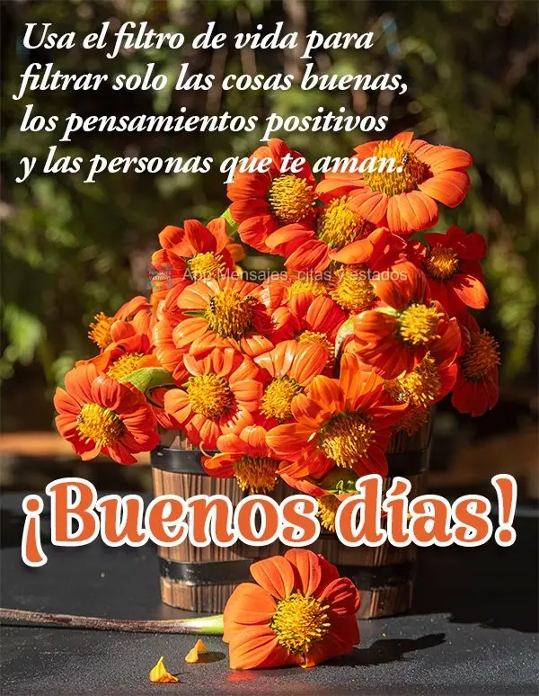 Use o filtro da vida para filtrar só coisas boas, pensamentos positivos e pessoas que te querem bem. Bom dia!