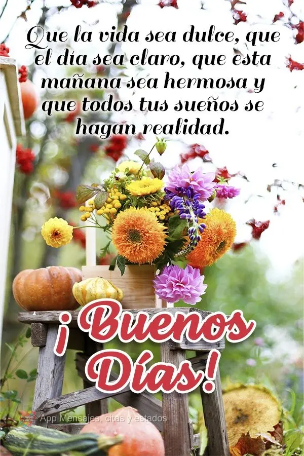 Que a vida seja doce, que o dia seja leve, que esta manhã seja bela e que todos os seus sonhos se realizem Bom dia!