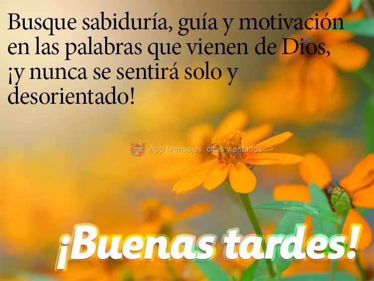 Busque sabedoria, orientação e motivação nas palavras que vem de Deus, e nunca se sentirá sozinho e desorientado! Boa tarde!