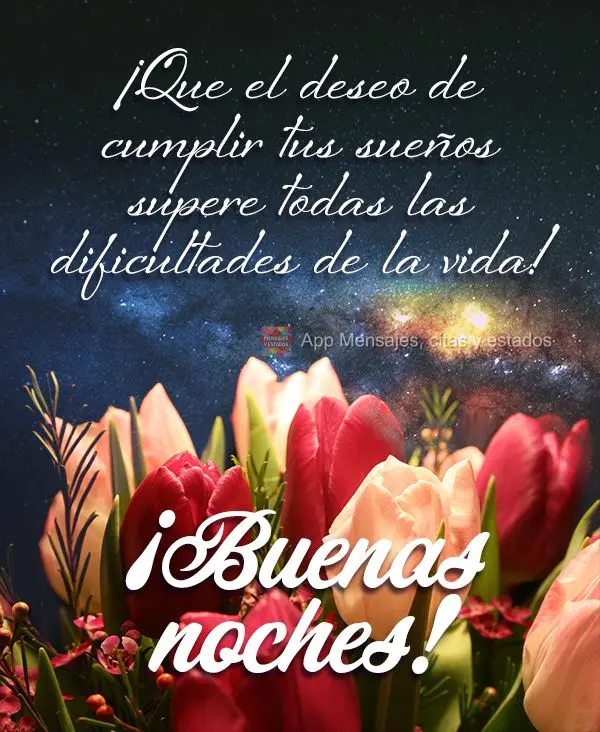 Que o desejo de realizar os seus sonhos ultrapasse todas as dificuldades da vida! Boa noite!