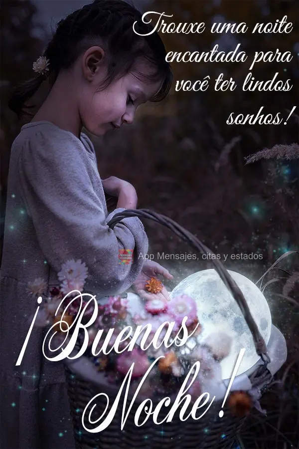 ¡Te traje una noche encantada para que tengas hermosos sueños! ¡Buenas noches!