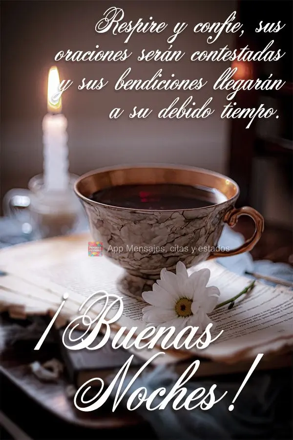 Respire e confie, suas preces serão atendidas e suas bênçãos chegarão no tempo certo! Boa noite!