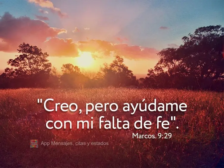 "Creo, pero ayúdame con mi falta de fe". Marcos 9:29