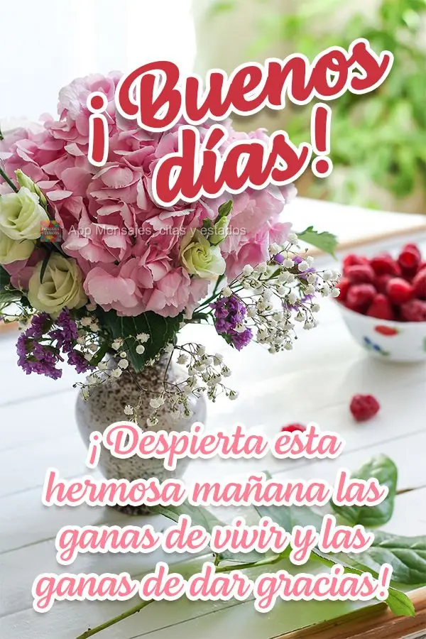 Desperte nesta linda manhã a vontade de viver e o desejo de agradecer! Bom dia!