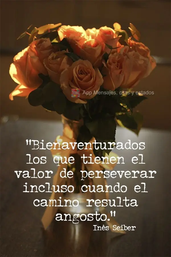 “Bendito seja os que têm coragem de persistir mesmo quando o caminho se mostra estreito.” Inês Seiber